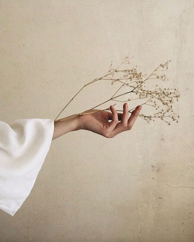 Emerging Trends in Furnishings: Embracing Natural Elements and Sustainable Practices