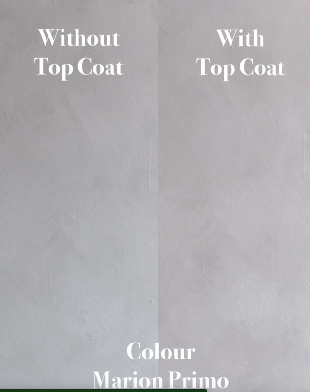 Top Coat (Protective Finish)