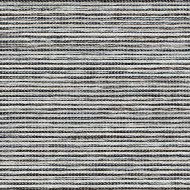 Silk (Ash)