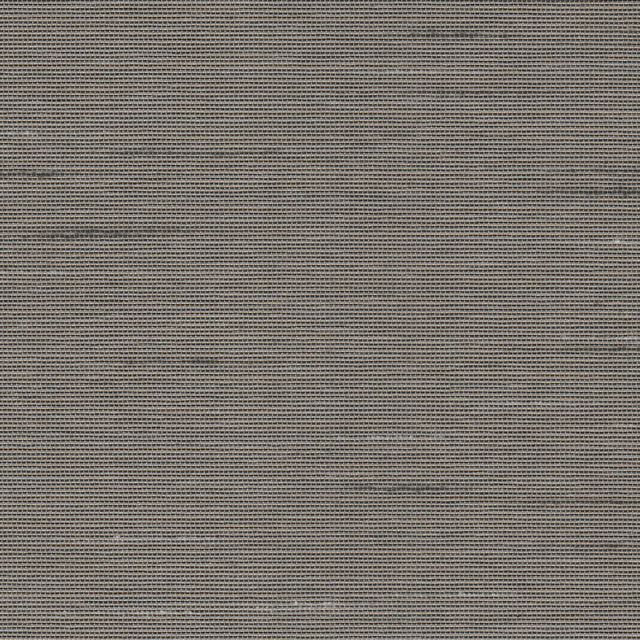 Silk (Grain)