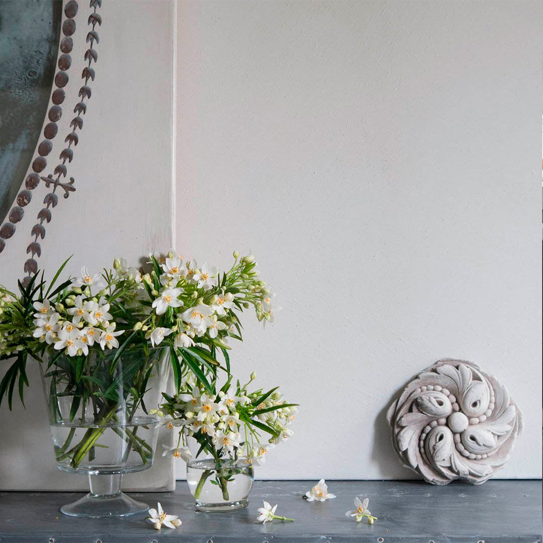 Buy Limewash Paint Colours in Singapore ARATAMETE