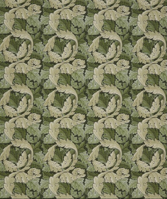 Acanthus