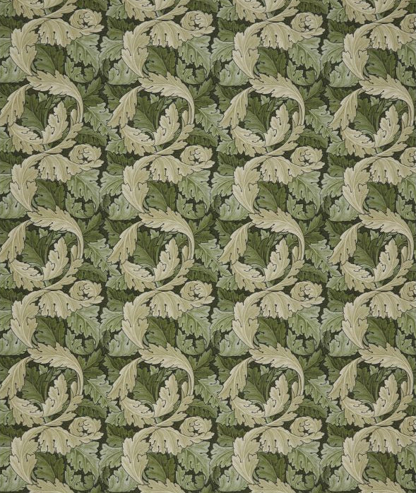 Acanthus