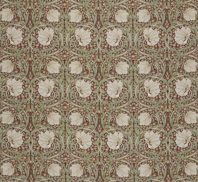 Pimpernel