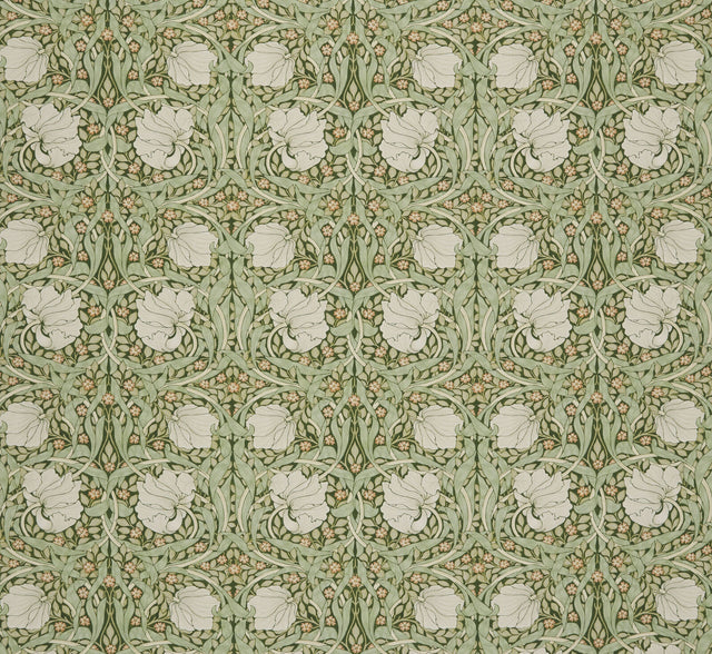 Pimpernel